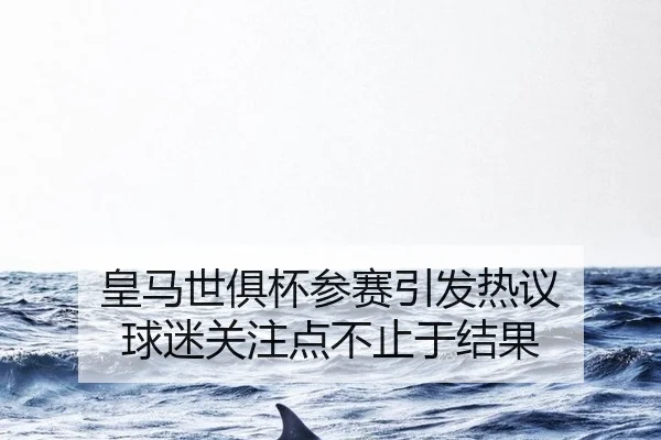 huang-ma-shi-ju-bei-can-sai-yin-fa-re-yi-qiu-mi-guan-zhu-dian-bu-zhi-yu-jie-guo-2-942.jpg